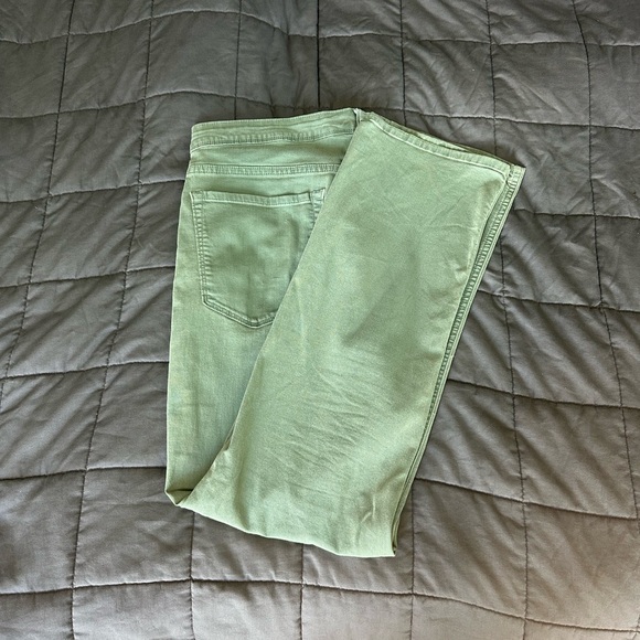 Bonobos - Picture 4 of 4